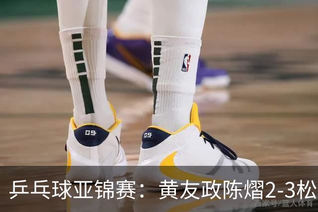 乒乓球亚锦赛：黄友政/陈熠2-3松岛辉空/张本美和 混双摘银