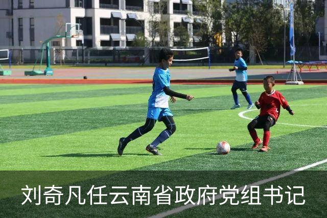 刘奇凡任云南省政府党组书记