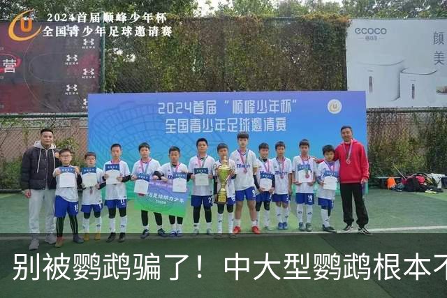 别被鹦鹉骗了！中大型鹦鹉根本不是宠物，是会飞的野生猛禽！