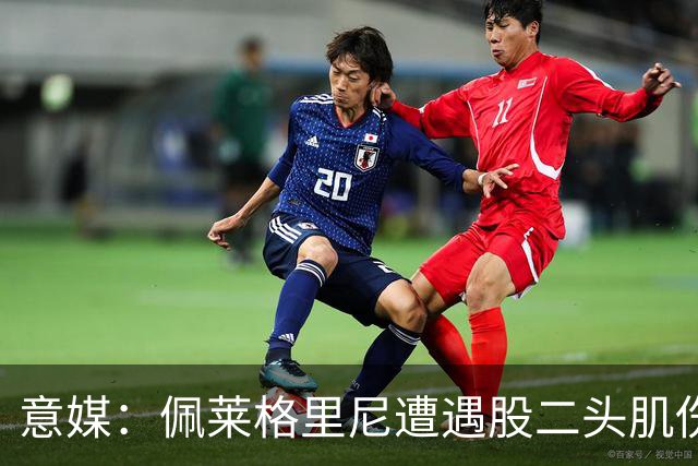意媒：佩莱格里尼遭遇股二头肌伤病，初步预估将缺阵约四周