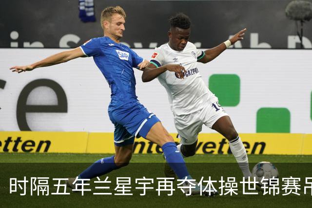 时隔五年兰星宇再夺体操世锦赛吊环冠军
