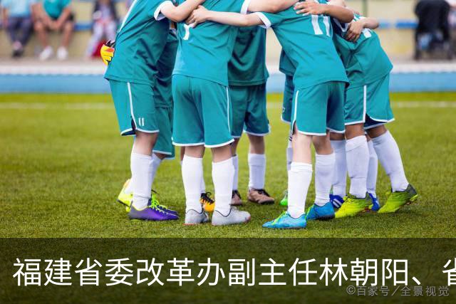 福建省委改革办副主任林朝阳、省委工作机关副职蔡亚航，拟任省委工作机关正厅长级职务