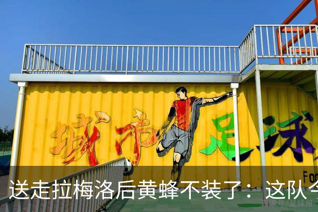 送走拉梅洛后黄蜂不装了：这队今年明年都别想赢