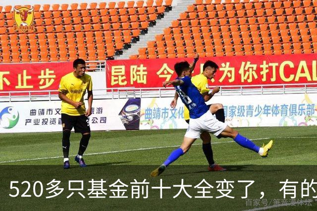 520多只基金前十大全变了，有的调仓“神了”